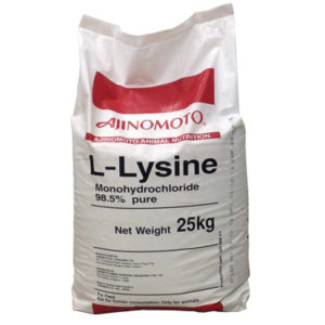 Lysine bag by Funsab Enterprises