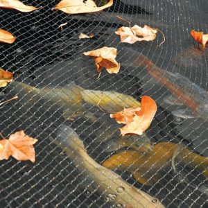 Pondnet