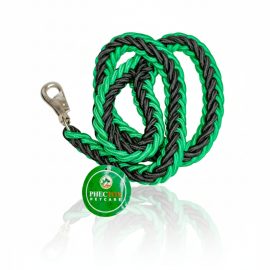 Phectox Petcare Braided Leash